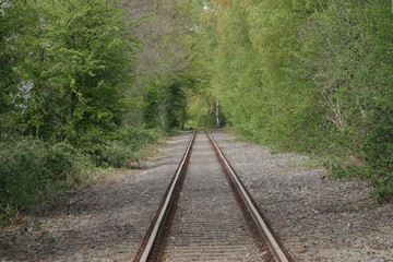 Einsame Eisenbahngleise im Wald