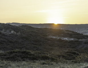 sunset behind grassy dunes