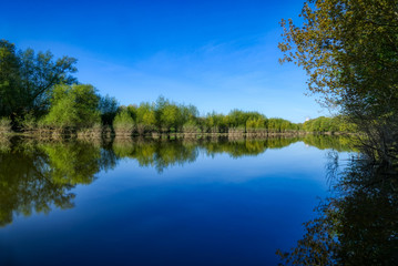Fototapeta premium See am Rhein bei Duisburg Friemersheim