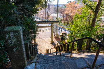 飯能市 諏訪八幡神社 階段 参道