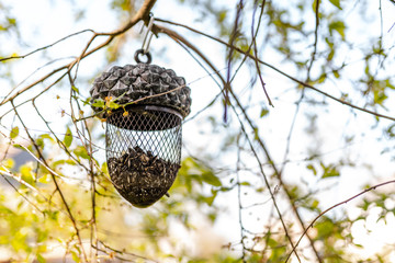 Bird feed house in acorn form, hanging in tree