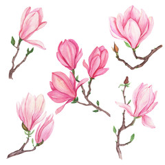 Watercolor set of illustration of magnolia flowers, for wedding cards, romantic prints, fabrics, textiles and scrapbooking.
