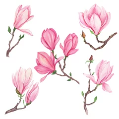 Fototapete Magnolie Aquarell-Illustration von Magnolienblumen, für Hochzeitskarten, romantische Drucke, Stoffe, Textilien und Scrapbooking.