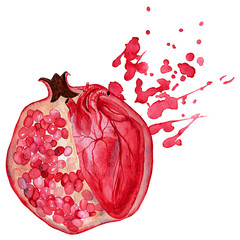 Cute watercolor hand drawn illustration of pomegranates isolated on a white background, for Valentine's Day greeting card, wedding card, romantic prints and scrapbooking.