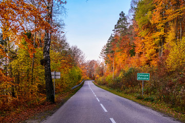 Obraz premium Tajemnicza droga jesienią 