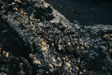 Roca Volcánica Textura