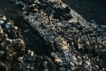 Roca Volcánica Textura