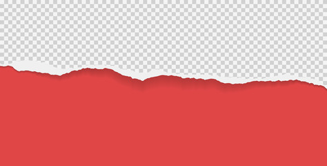 Piece of torn squared horizontal paper with soft shadow stuck on red background. Vector illustration