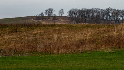 April landscape in the park