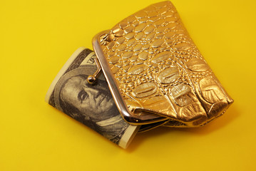 Golden wallet and US dollars, money.