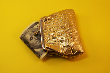 Golden wallet and US dollars, money.