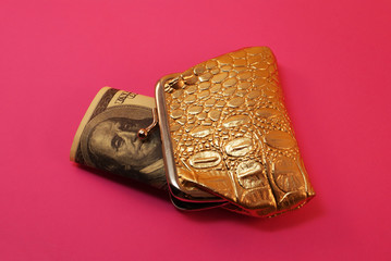 Golden wallet and US dollars, money.