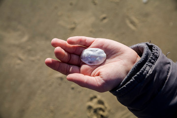 France, Charente Maritime, Plage de la station de balnéaire de Saint Georges