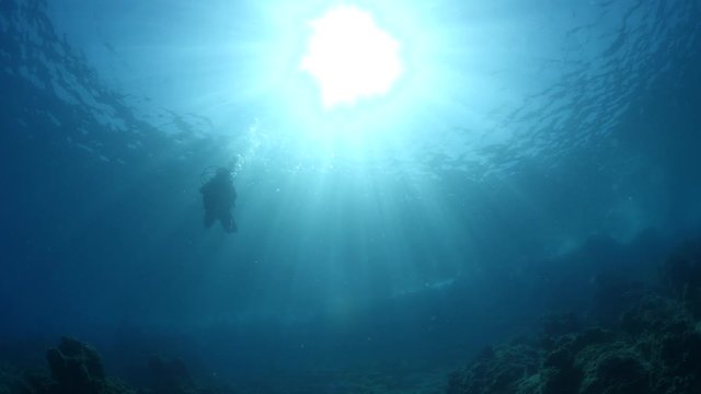 scuba divers coming down descending scenery underwater sun beams and rays sun shine silhouette scenery