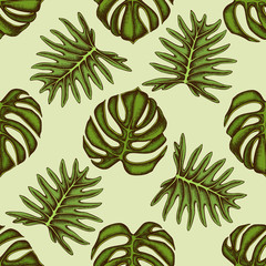 Seamless pattern with hand drawn colored monstera