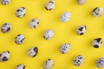 Quail eggs on the yellow  background. Top view. Closeup. Flat lay.