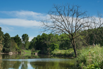 stagno all'interno della campagna in primavera