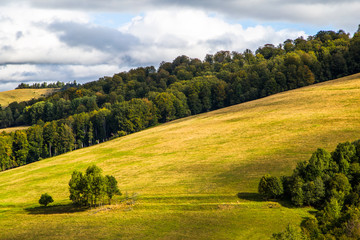 beautiful lansheet in the mountains.  the beginning of the tourist season.  active rest.