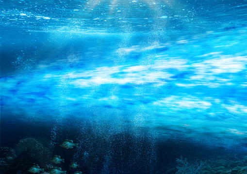 Gulf Stream Underwater In The Atlantic