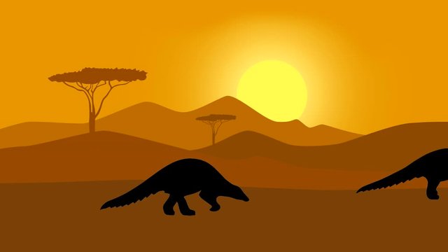 Pangolins walking in the savanna, animation with pangolins
