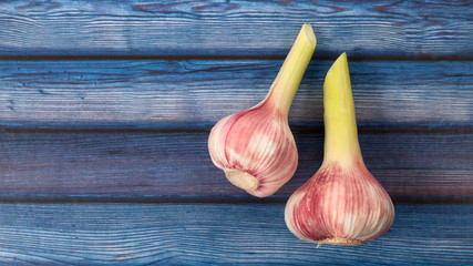 Close up of garlic bulbs on blue wooden background