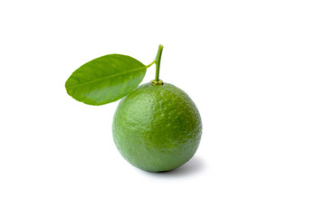 Green lemons and lemon leaves isolated on a white background with the clipping path.