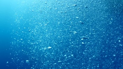 air bubbles underwater  bubbles coming up to the surface blue water ocean scenery - Powered by Adobe