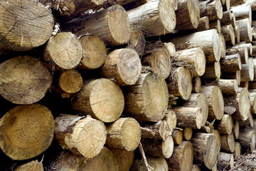 stack of wood
