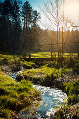 Bachlauf durch Wiese