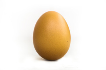 Chicken eggs on a white background
