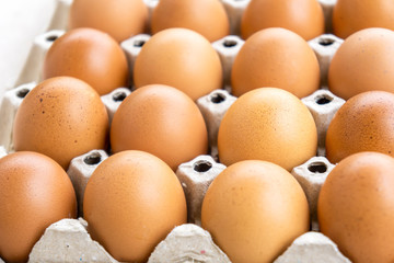 Many eggs on the tray are waiting to cook