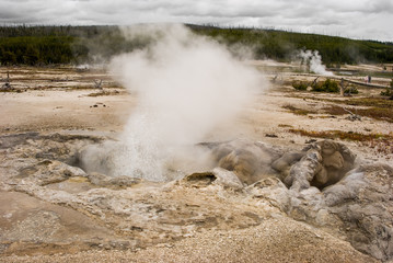 Avoca Spring steaming from superheated water in Yellowstone National Park