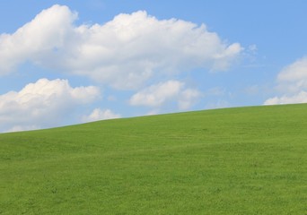 Obraz premium natura