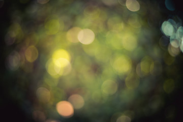 Bokeh background: Green defocused park, copy space