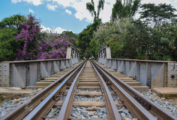 Fototapeta na wymiar Beautiful railway over a iron bridge with purple flowers beside, located in Passa Quatro MG