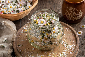 Preparation of common daisy syrup from fresh daisy flowers