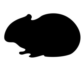 vector illustration of Rabbit on white background