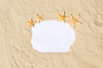 Frame with seashells, coral and starfish on golden sandy beach. Summer vacation concept with copyspace for text message