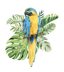Print with beautiful watercolor parrots and tropical leaves. Tropics. Realistic tropical leaves. Tropical birds.
