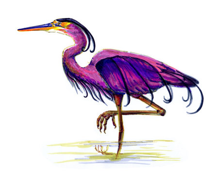 pink heron on one leg in the water, watercolor illustration