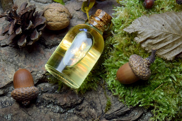Secret Magical Elixir forest scenery
