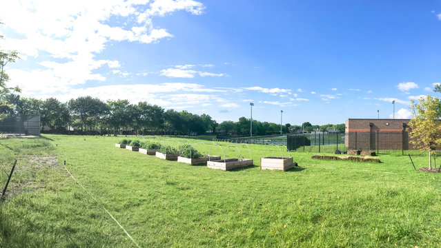 Panoramic row of raised bed garden with PVC pipe cold frame at elementary school in Dallas, Texas, USA
