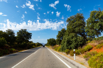 Andalusian landscape with cork oak groves and blue sky with high white clouds