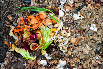 Composting organic food scraps  for the plants in garden