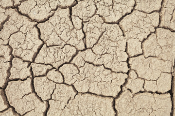 Cracks in the earth in rural areas. Ground texture background. Dry soil abstract photo. Mosaic pattern