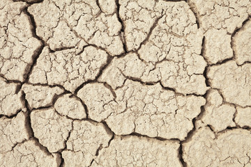 Cracks in the earth in rural areas. Ground texture background. Dry soil abstract photo. Mosaic pattern