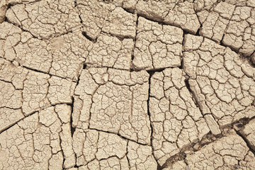 Cracks in the earth in rural areas. Ground texture background. Dry soil abstract photo. Mosaic pattern