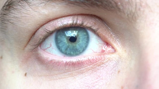 Steel-blue greenish eye opens and closes in a close-up, pupil adapts well to the light. Close-Up shot.