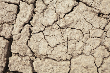 Cracks in the earth in rural areas. Ground texture background. Dry soil abstract photo. Mosaic pattern