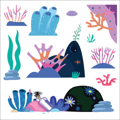Underwater plants and inhabitants - 338461579